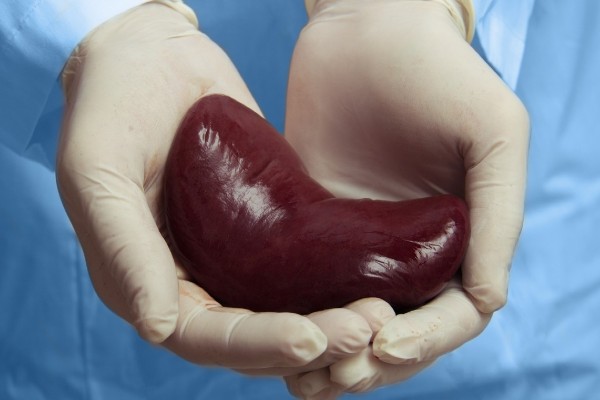 Kidney-Transplant-Information-wetogether-care